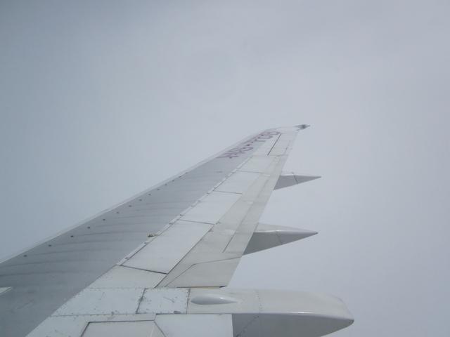 54.jpg